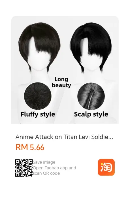 Levi ackerman wig