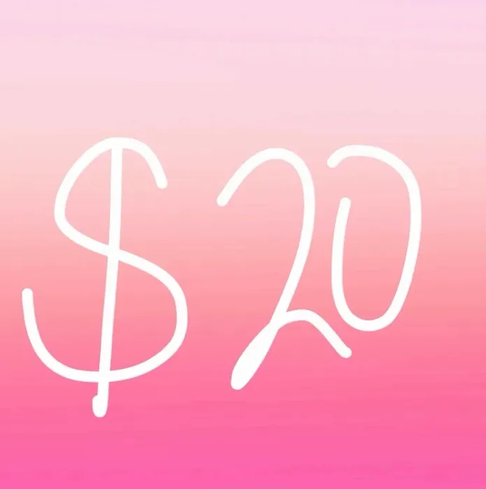 $20