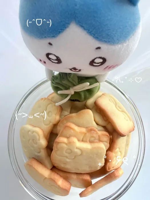 (˶>⩊<˶)