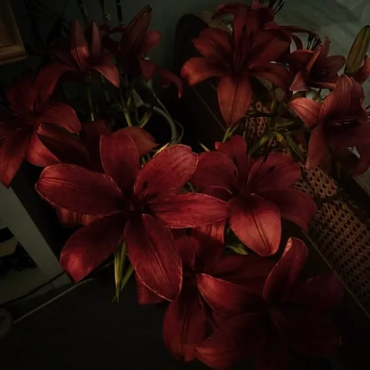 Rare Flowers