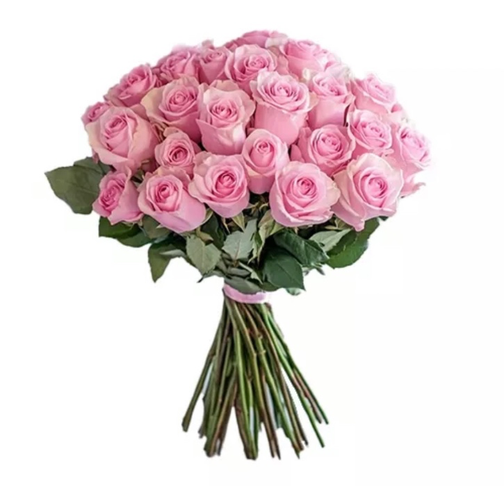 100 Premium Pink Roses