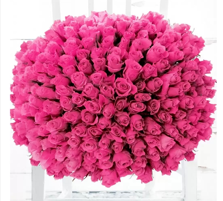 200 Pink Roses