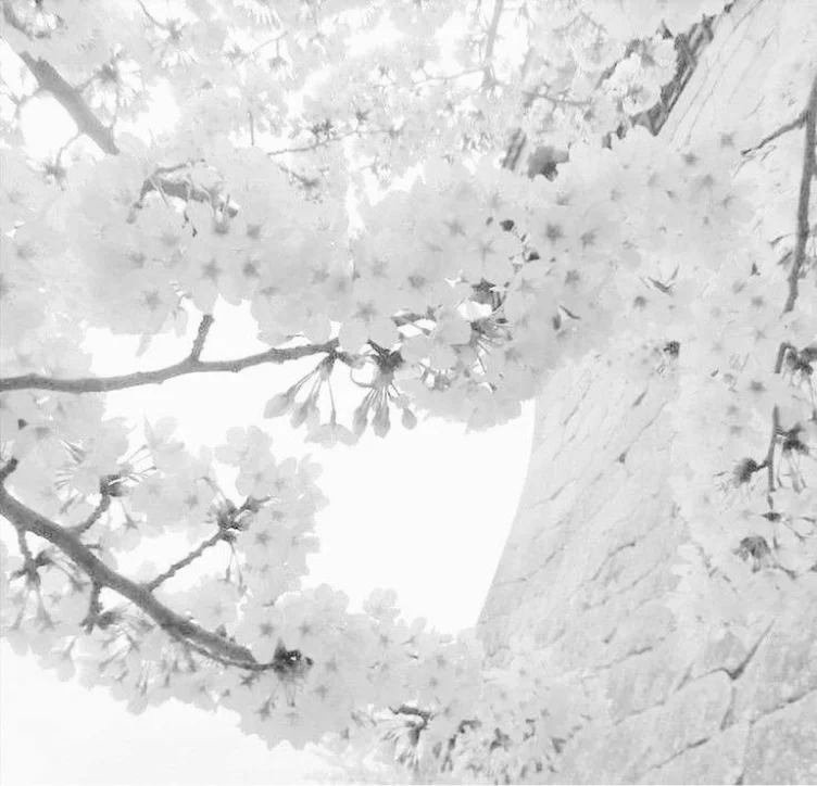 vacation ᯓ  ✈︎