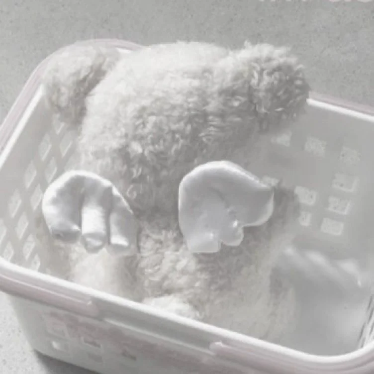 plushies ⋆.𐙚 ̊