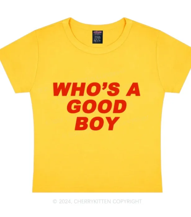 Who's a Good Boy T-Shirt