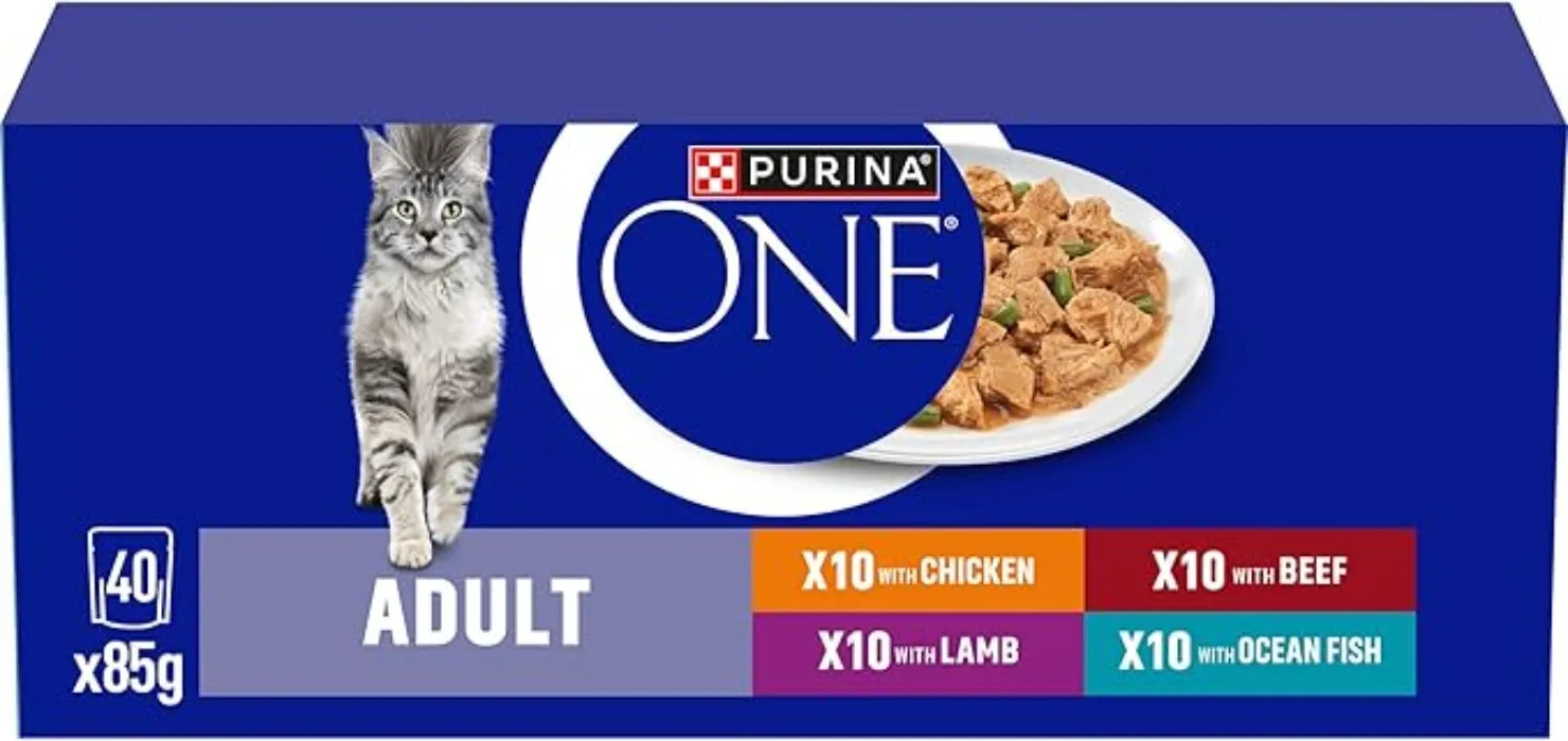 PURINA ONE Adult Cat Food Mini Fillets in Gravy 40 x 85g : Amazon.ie: Pet Supplies