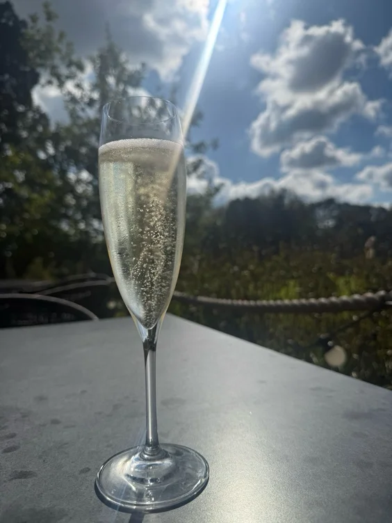 Fizz 