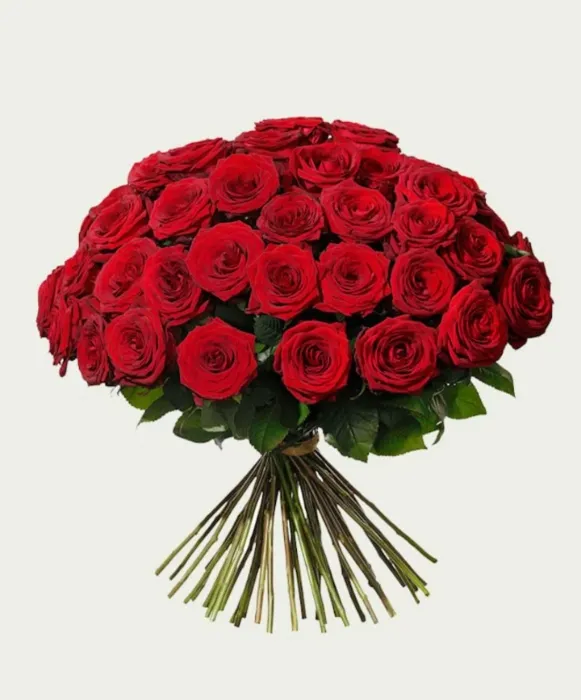 50 red roses❤️