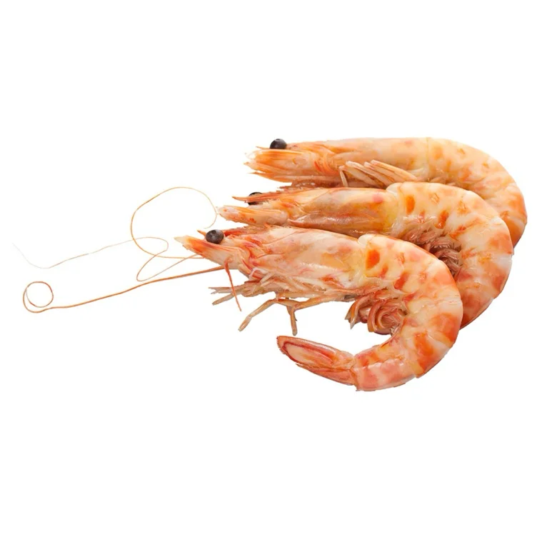 🦐 