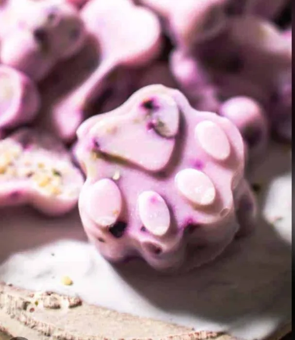Puppy treats 