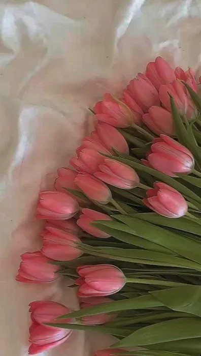 flowers 44