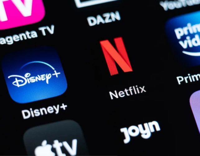 Monthly Streaming Subscription