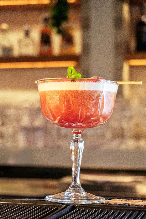 Cocktail