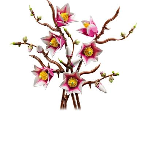 Magnolia Branches
