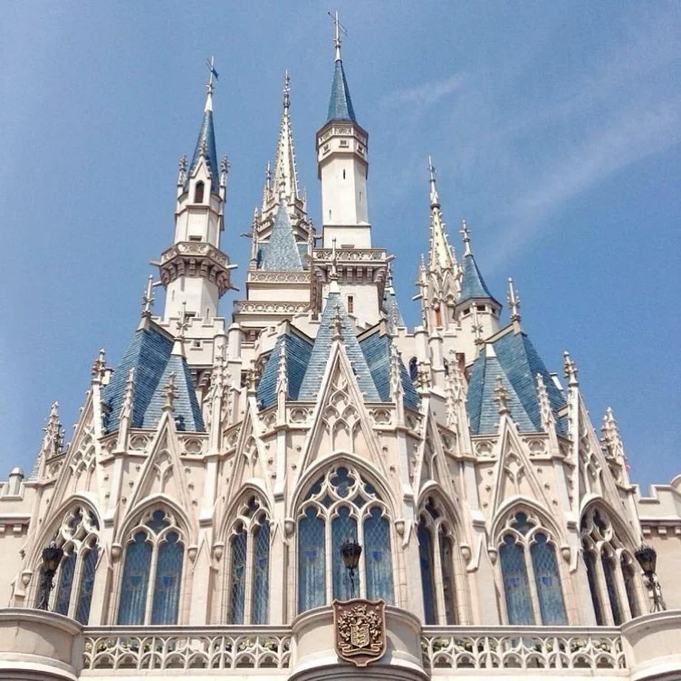 Princess Housing - House