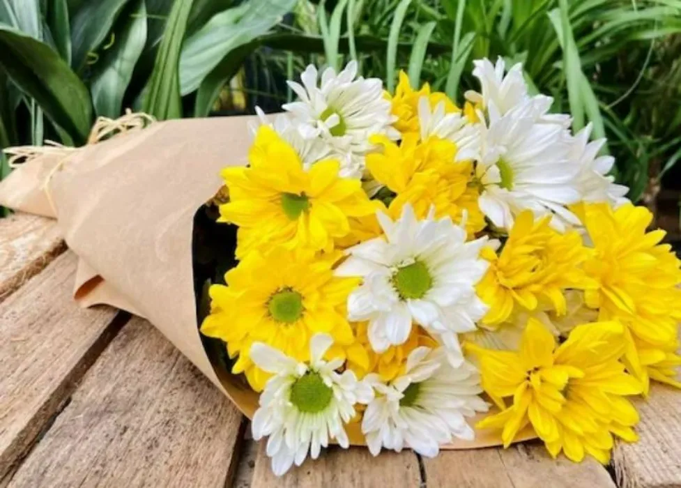 SPOILS: flowers