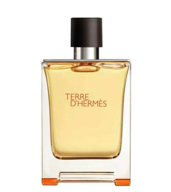 Hermes Terre D'Hermes EDT for Men