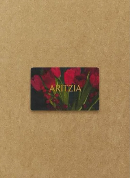 Aritzia gift card 🤠