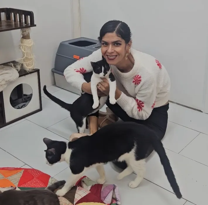 My favorite cat rescue needs a new front door