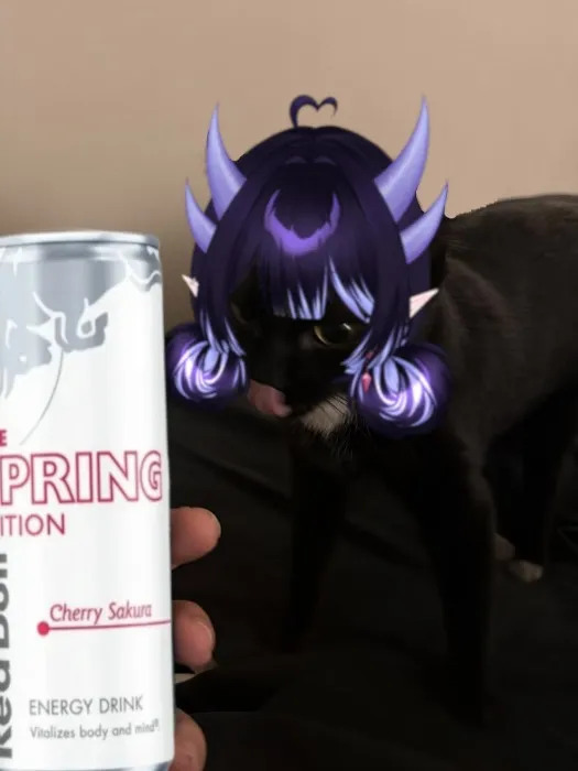 redbull classic/sakura