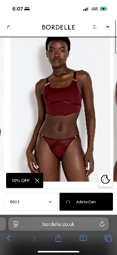 Syra  Crop Top Set (with top and bottom, stockings + collar)