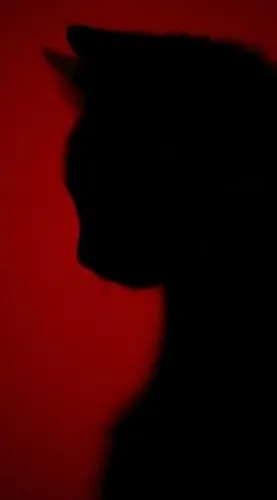 ☆ 𝐑𝐀𝐓𝐄 (𝐝𝐥𝐱)  ☆