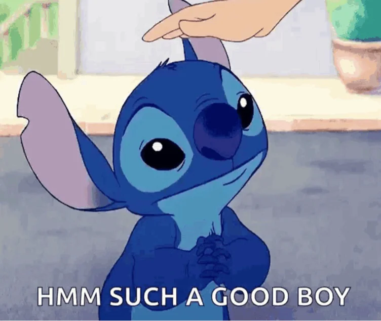 Good boy send 