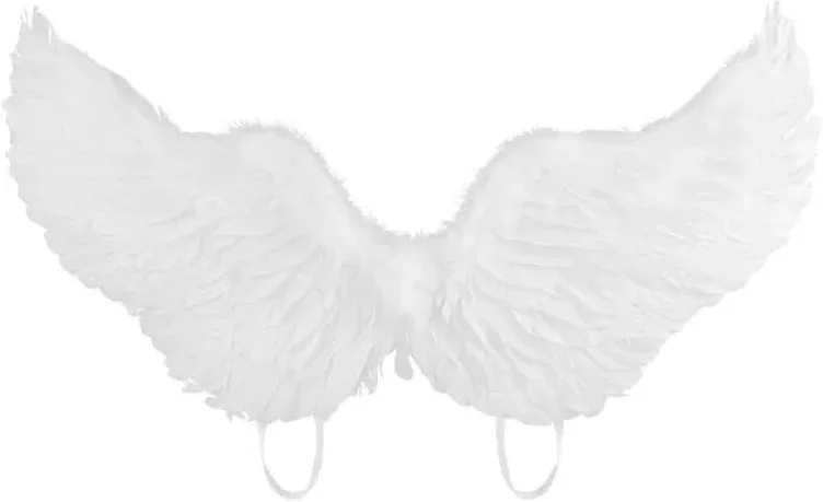Angel wings for chainsaw man
