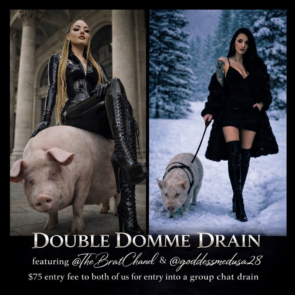 Your entry ticket 🎟️