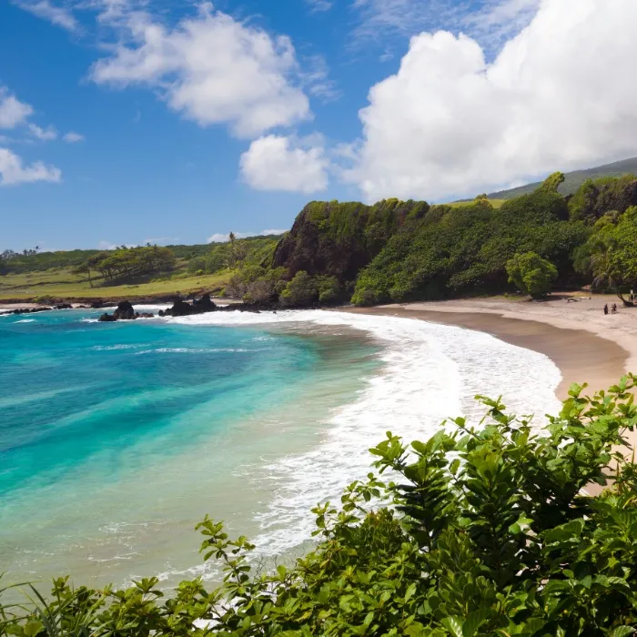 🌸 Hawaii Fund 🌸 1K