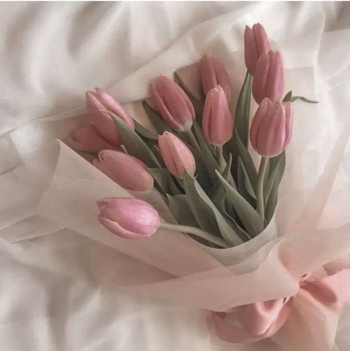 tulips 