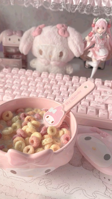 meals 