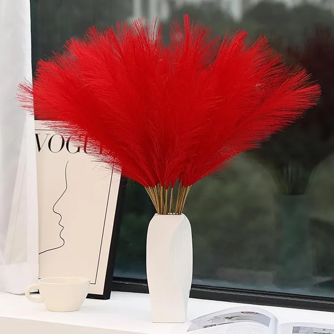 Red Feather Decorations
