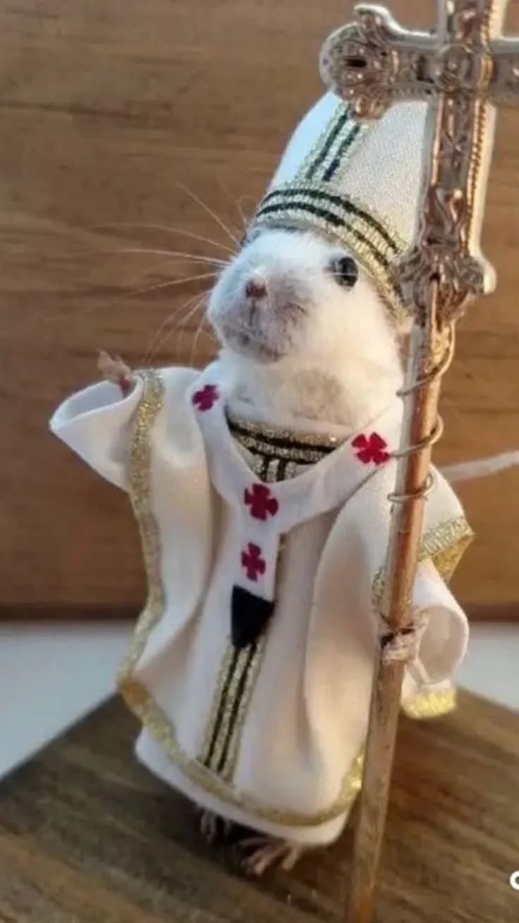 Rat worship 