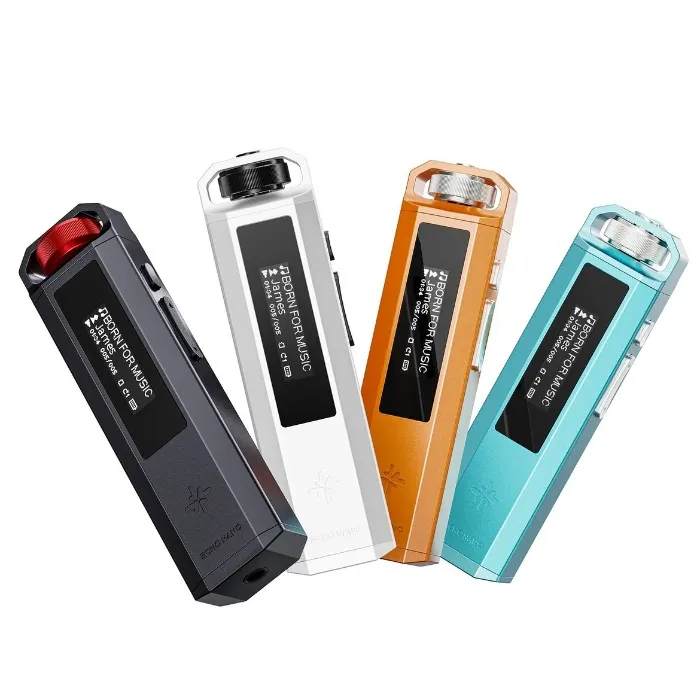 FIIO Snowsky ECHO NANO - Portable High-Res Lossless Digital Music Player