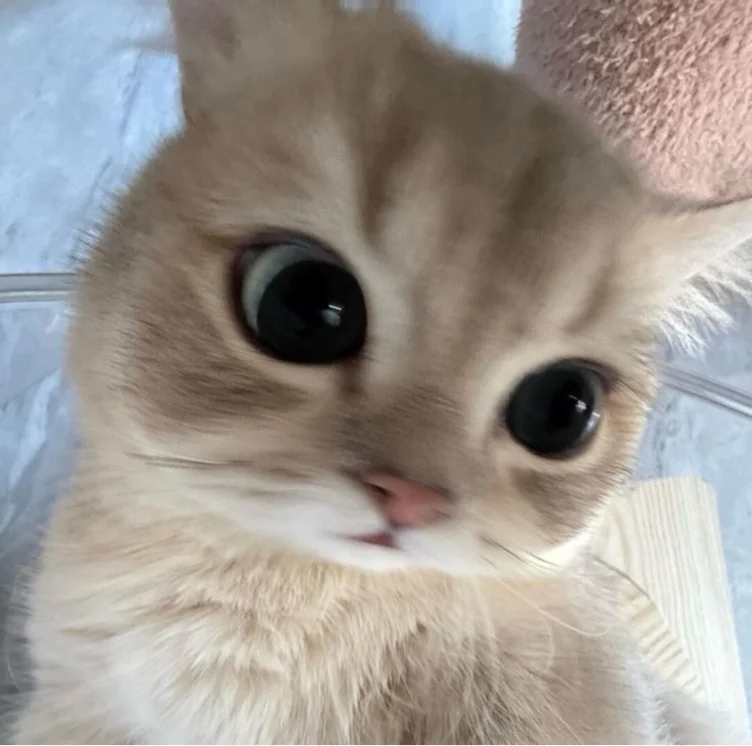 <3