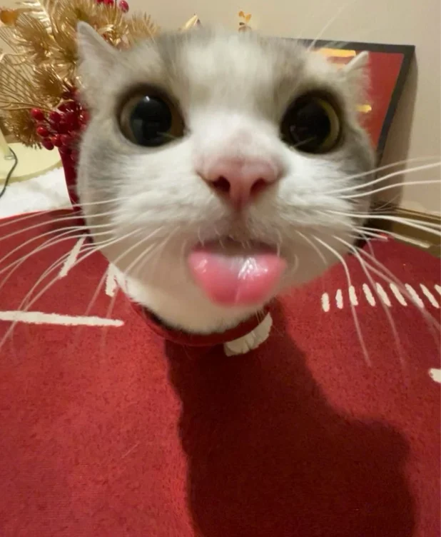 for attention 