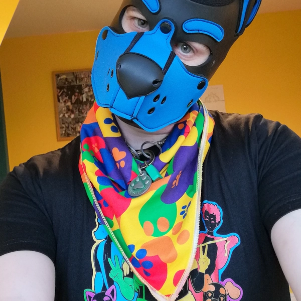 Paw Splat Bandana