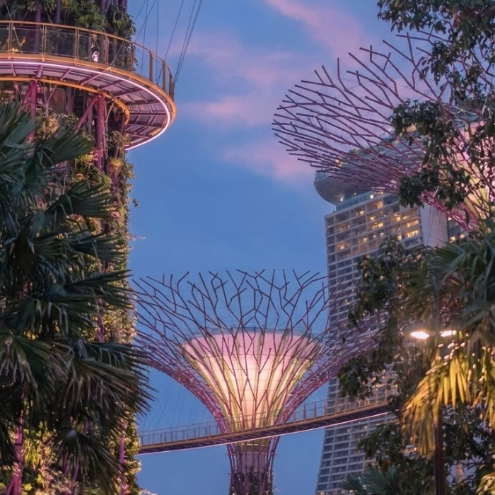 Singapore Flights  