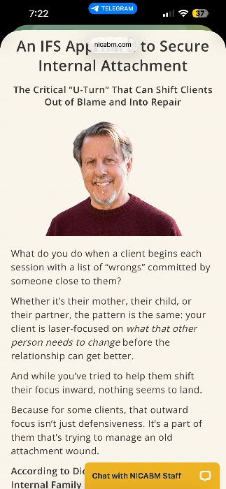 An IFS Approach to Secure Internal Attachment