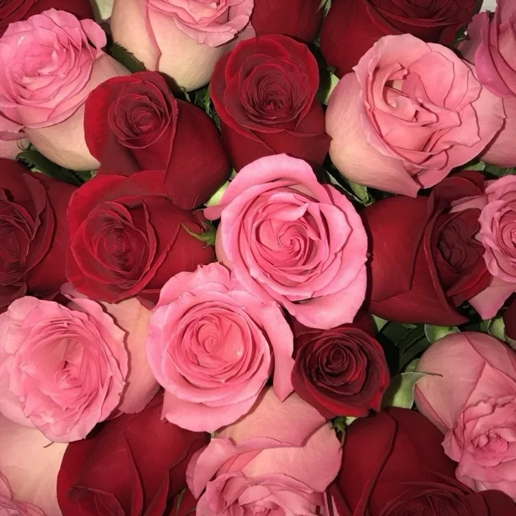 Valentine's Day Surprise❤️