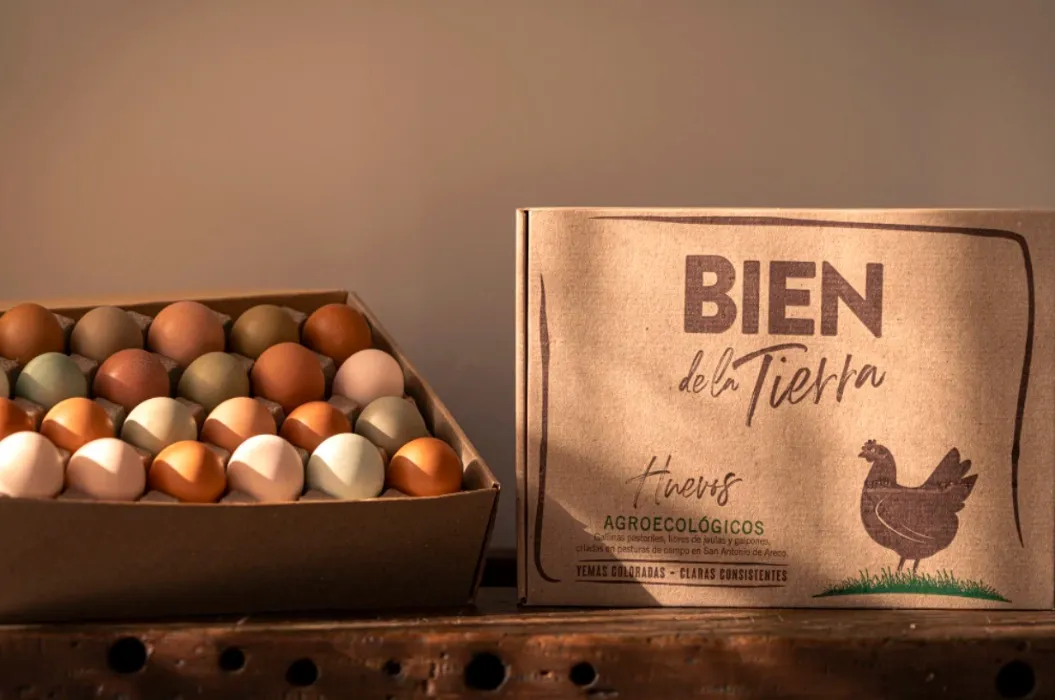Happy Eggs, Happy Me! 🍳🌼