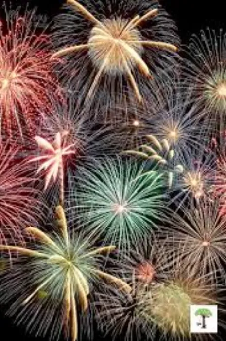 A pocket of sunshine!