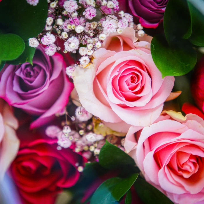 Bouquet of Flowers