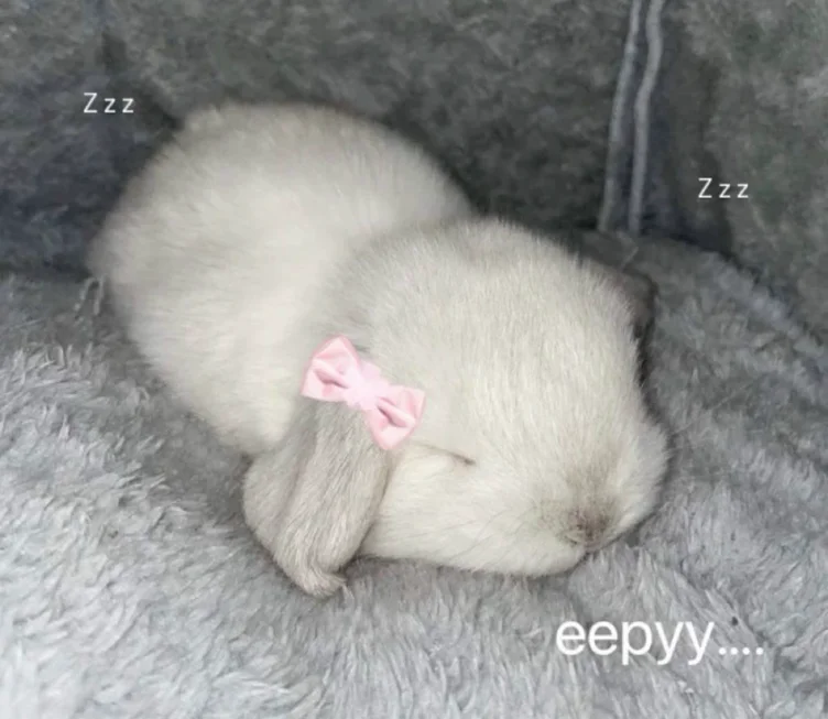 bunny treat