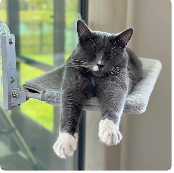 Foldable Cat Hammocks