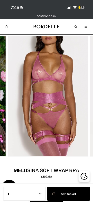 Bordelle lingerie set