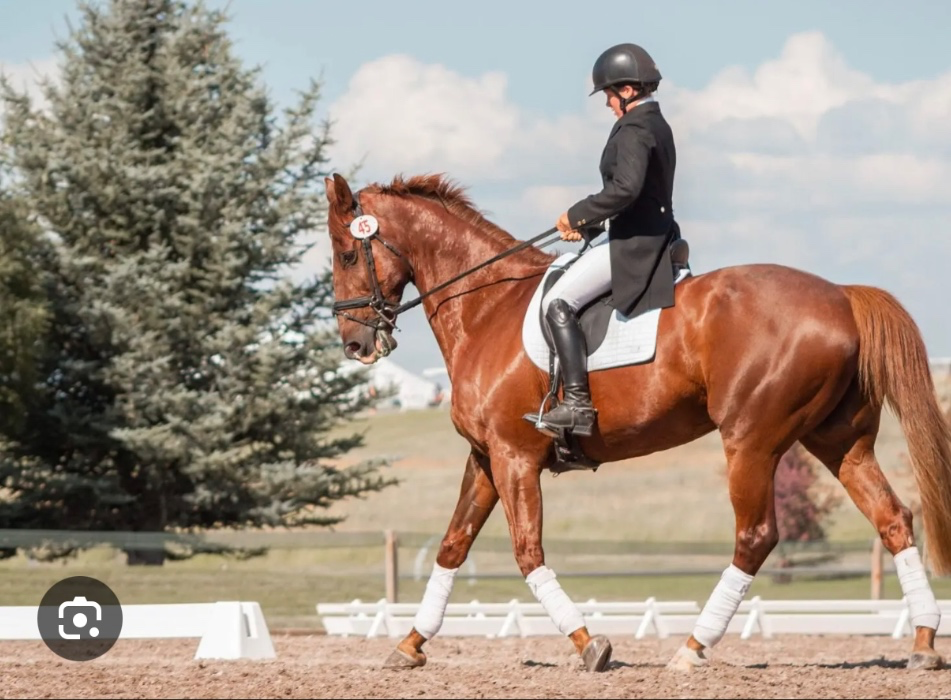 Horse riding lessons