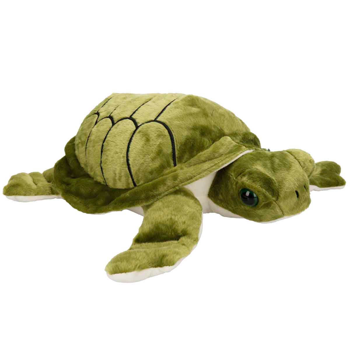 🐢 ᥫ᭡