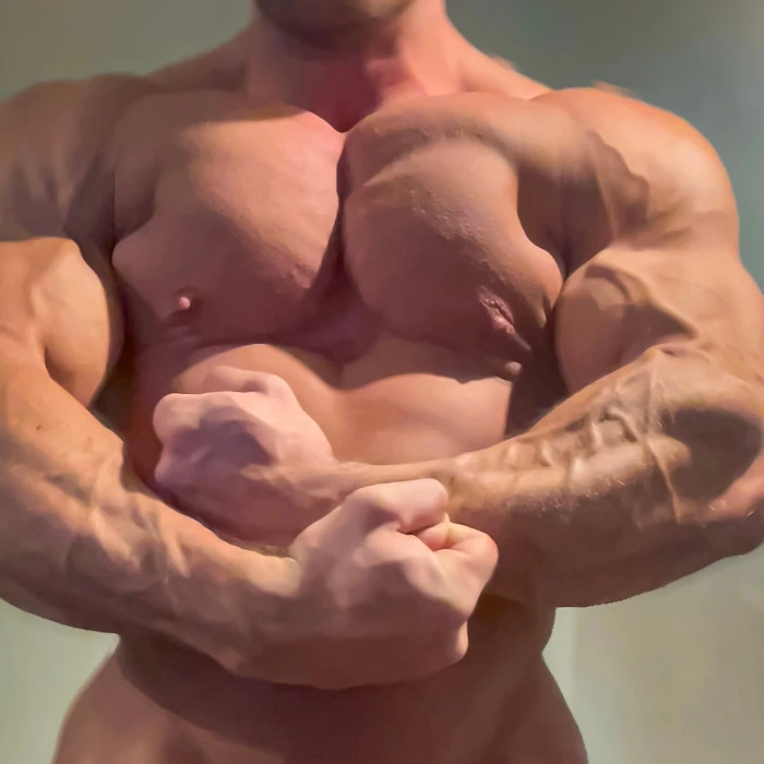 Submission